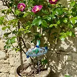 Le Chant Des Loriots Bed & Breakfast Bajamont