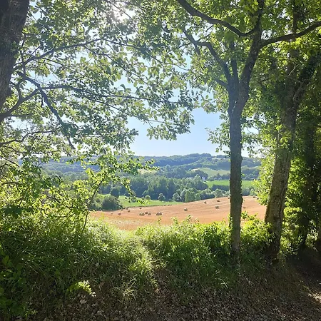 Le Chant Des Loriots Bed & Breakfast