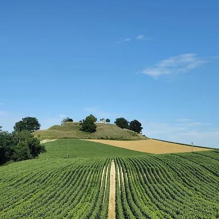 Le Chant Des Loriots Bajamont