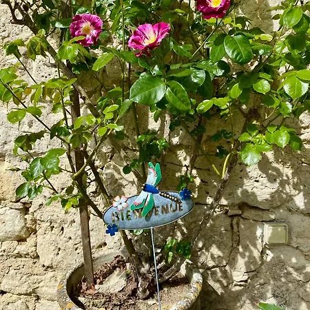 Le Chant Des Loriots Bed & Breakfast Bajamont