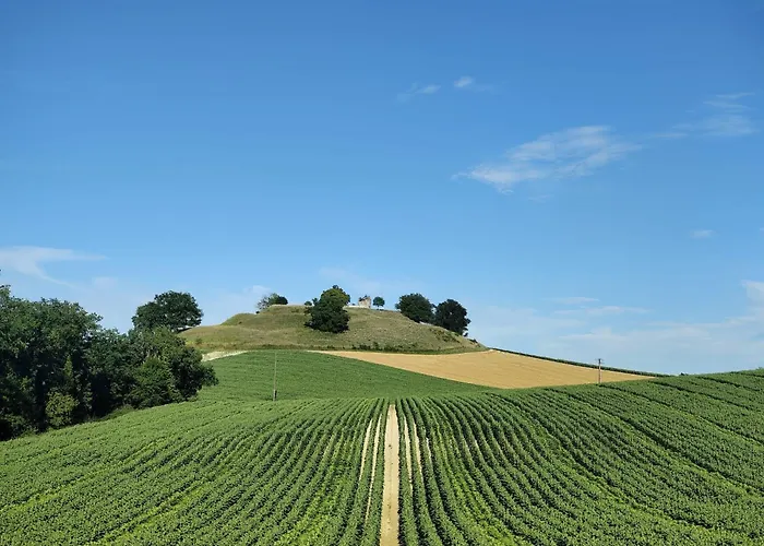 Le Chant Des Loriots Bajamont