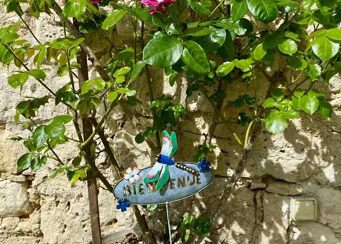 Le Chant Des Loriots Frühstückspension Bajamont