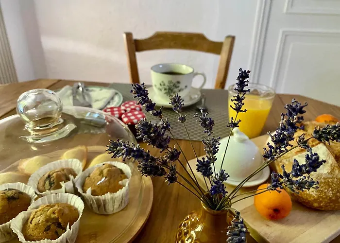 Le Chant Des Loriots Bajamont